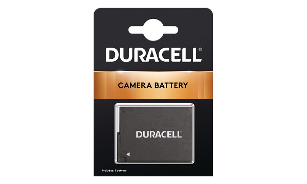 DMW-BLC12PP Batteria (2 Celle)