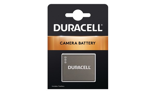 DMW-BCM13E Batteria (1 Celle)